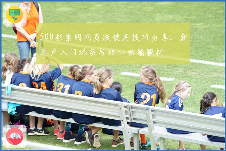 500彩票网网页版使用技巧分享：新用户入门说明与核心功能解析
