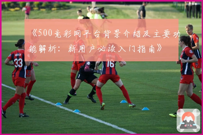 《500竞彩网平台背景介绍及主要功能解析：新用户必读入门指南》