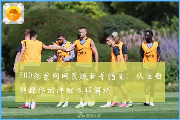 500彩票网网页版新手指南：从注册到操作的详细流程解析